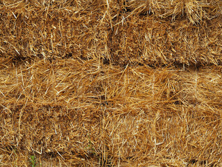 Quality golden straw as background