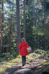 Woman walking in forest and picking berries and mushrooms