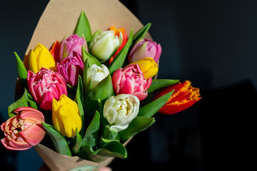 Bouquet of multi-colored tulips close-up. Spring bright flowers. Tulip flower. Congratulatory concept. Floral mood postcard