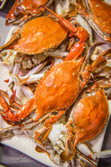 제철을 맞아 싱싱하고 맛있는 꽃게