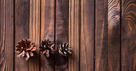 Three cones on a wooden background