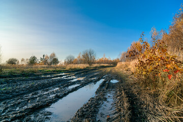 mud in the autumn forest