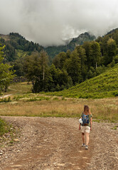 Fototapeta na wymiar Rear view of young blonde woman with backpack walking uphill along trail on background of mountain covered with forest, active hiking eco tourism