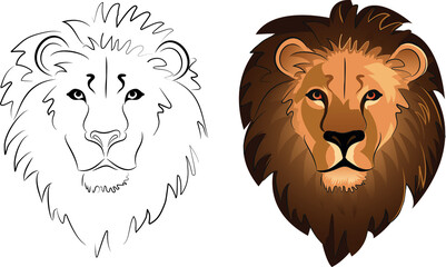 lion face in color and black outline in vector
