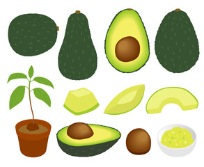 アボカドのイラスト