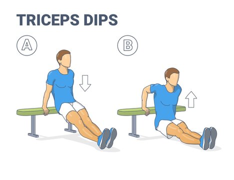 Man Doing Bench Triceps Dips. Workout Exercise Guide. Colorful Concept Guy Working on His Triceps.