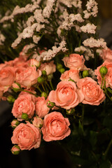 Lovely peach roses. Background, macro