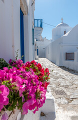 Traditional cycladitic   alley with a narrow street, a whitewashed  church and  blooming flowers in Chora Amorgos  Greece