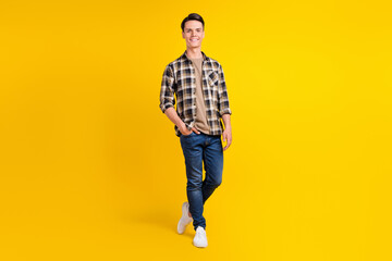 Photo of virile handsome guy palm pocket wear plaid shirt jeans sneakers isolated yellow color background © deagreez