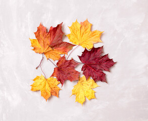 Multicolored autumn maple leaves on an old stone table