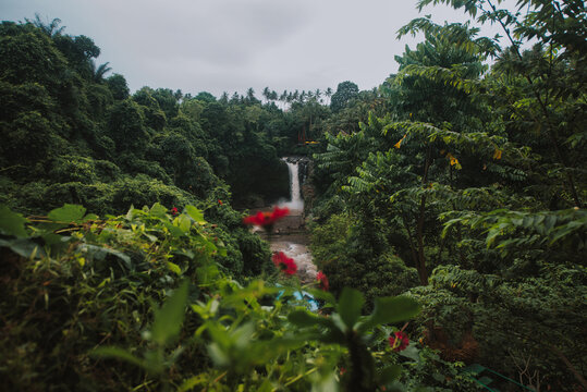 Beautiful girl having fun at the waterfalls in Bali. Concept about wanderlust traveling and wilderness culture