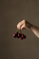 Cherries. Cherry. Cherry berries in a child's hand