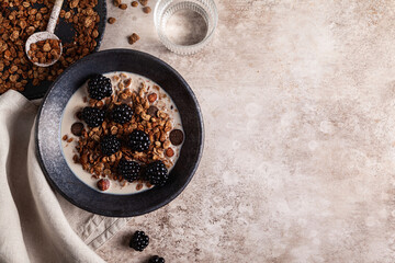 Chocolate granola with almond milk and blackberry