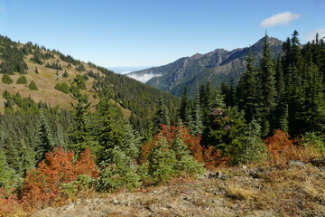 Olympic National Park mountains during autumn and blue sky, Washington, United States