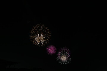 Fototapeta premium 秋の花火