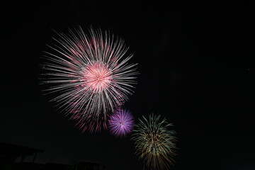 Fototapeta premium 秋の花火