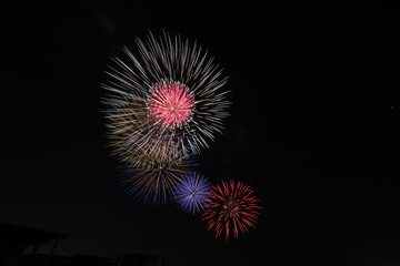 Fototapeta premium 秋の花火