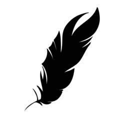 Feather of birds. Black feather silhouette for logo vector set