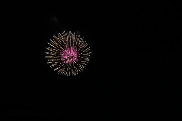 Fototapeta premium 秋の花火