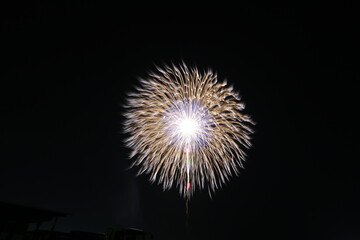 Fototapeta premium 秋の花火