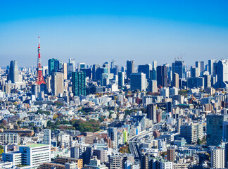Obraz premium 東京 青空と都市風景