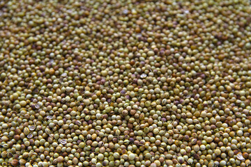 Coriander seeds background