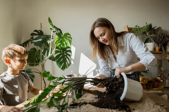 Woman removing plant from pot
