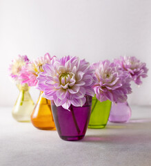 Autumn still life with pink dahlia in multicolored vases on table. Autumn floral decoration for home.