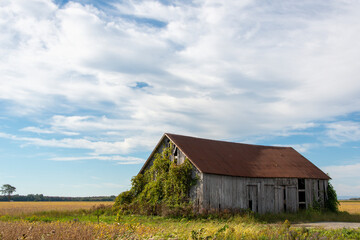 Fototapeta na wymiar Old barn in the southern region of Quebec