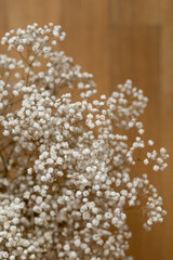 autumn, background, ball, beautiful, beauty, beige, bloom, blooming, blossom, botany, branch, brittle, brown, bud, bush, closeup, cold, color, craft, decoration, delicate, design, dry, fall, field, fl