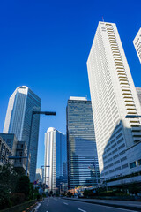 Fototapeta na wymiar 青空にそびえ立つ西新宿の超高層ビル群（議事堂通り）