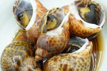 つぶ貝の煮付け