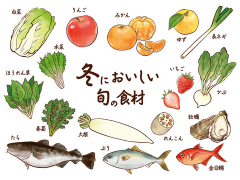 冬においしい旬の食材の水彩イラストセット Winter Food Watercolor Vector Illustration Stock Vector Adobe Stock