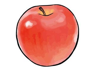 手描き　水彩風のりんご　apple watercolor vector illustration