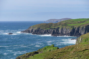 Fototapeta na wymiar coastline ireland at wild atlantic way during day with some sheep on green grass and steep cliffs