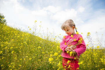 little blondie girl picking flowers
