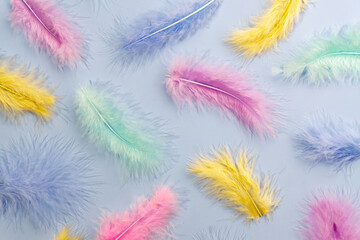 Obraz premium Abstract background with soft multicolored pastel feathers and shadows, Flat lay, copy space.