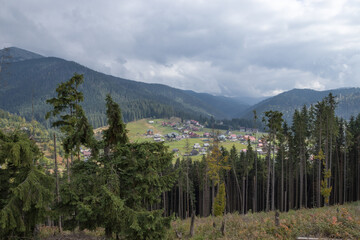 Fototapeta premium forest in the mountains and a resort village