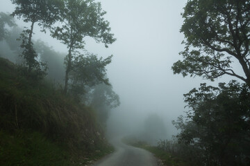 Heavy fog in the road early in the morning. Trek to Machapuchare, Nepal