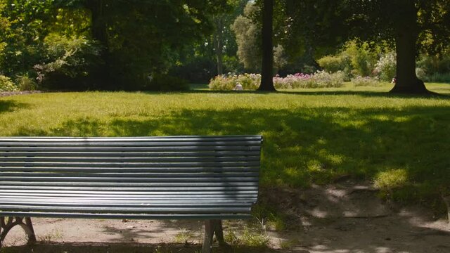 Camera panning over an empty bench at the center of a park on a bright sunny day.
