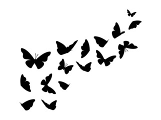 Fototapeta na wymiar Butterfly design. Black silhouette butterflies isolated on white background