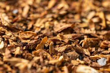 Pile of tobacco with close-up. Smoking tobacco