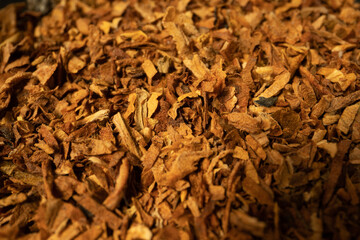 Pile of tobacco with close-up. Smoking tobacco