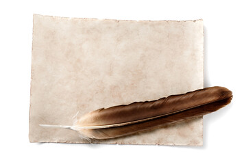 antique parchment with bird feather isolated