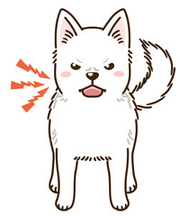 威嚇する紀州犬