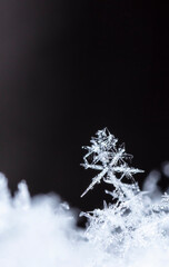 Snowflakes close-up. Macro photo. The concept of winter, cold, beauty of nature. Copy space. 