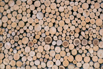 Wood texture: neatly laid out woodpile.