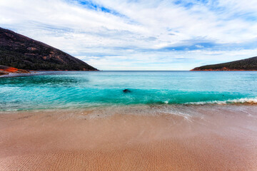 Tas Wineglass front beach