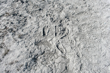 Dried surface of the Earth with prints of bare human feet.