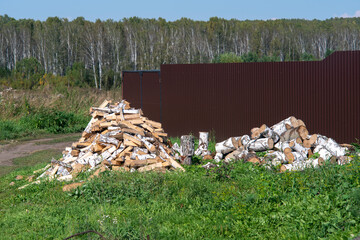 Chopped birch firewood in a heap near the fence.